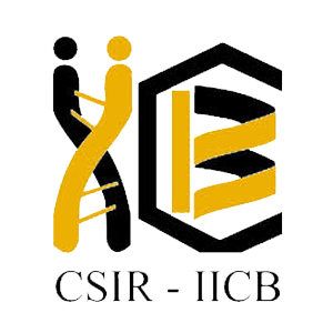 csir